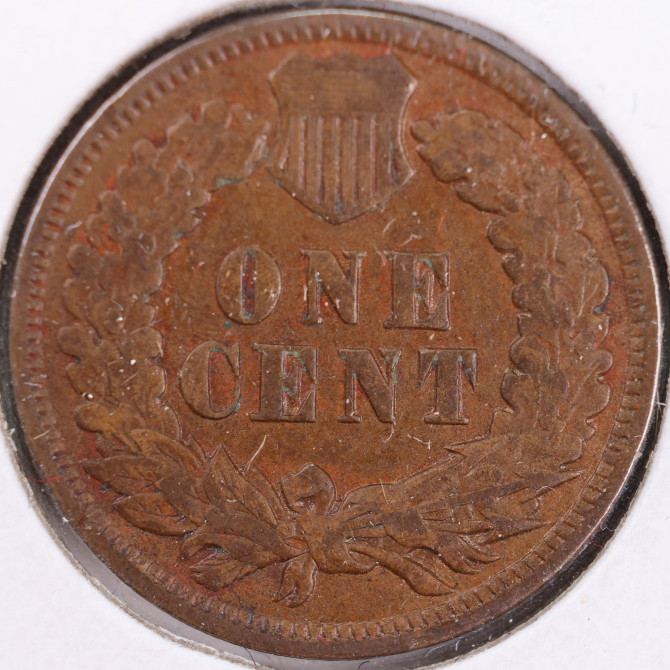1905 Indian Head Cent, Extra Fine Circulated Coin, Store #CT0379