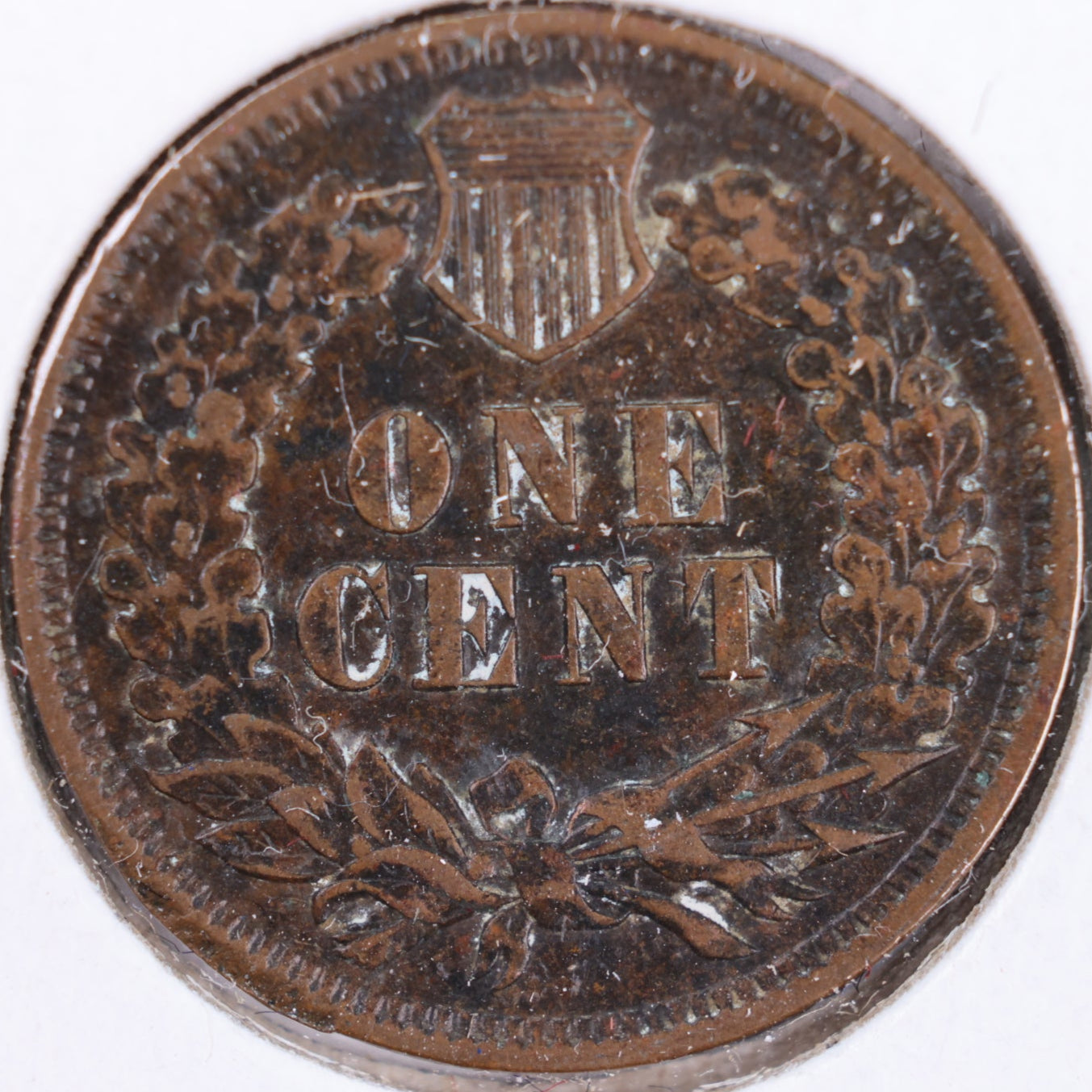 1905 Indian Head Cent, Extra Fine+ Circulated Coin, Store #CT0382