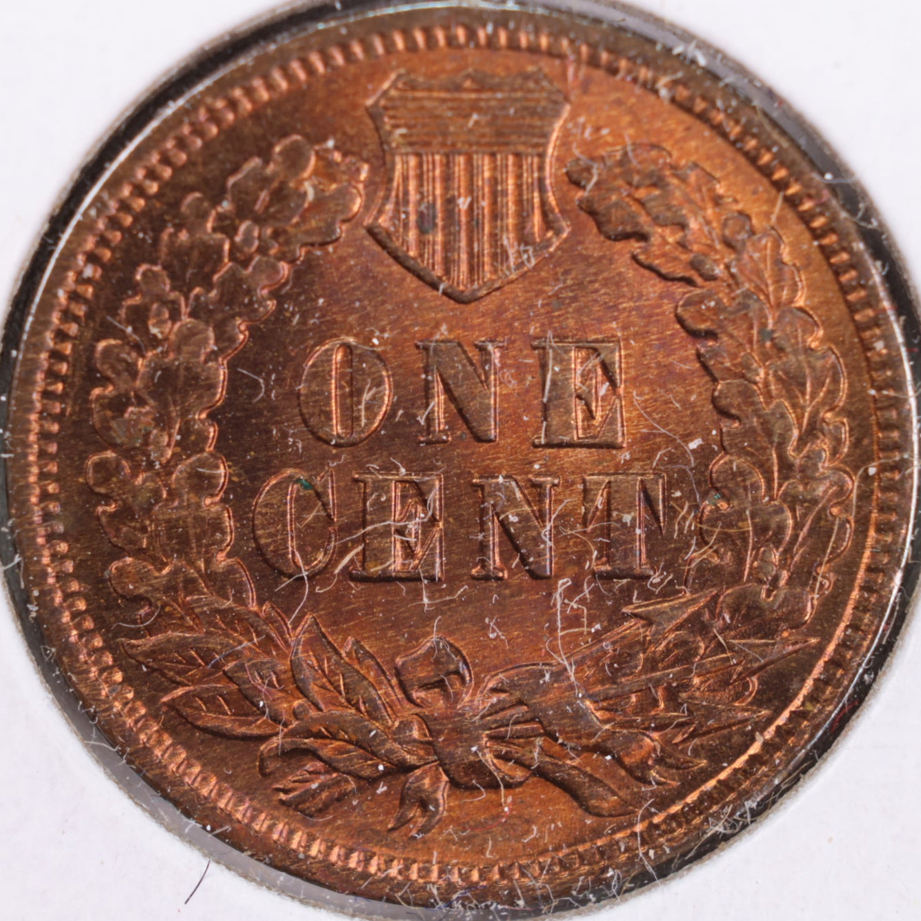 1905 Indian Head Cent, RB Mint State Uncirculated Coin, Store #CT0384