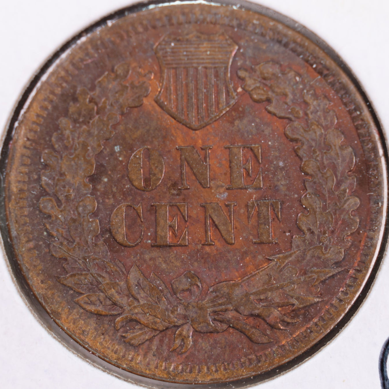 1905 Indian Head Cent, Mint State Uncirculated Coin, Store #CT0385
