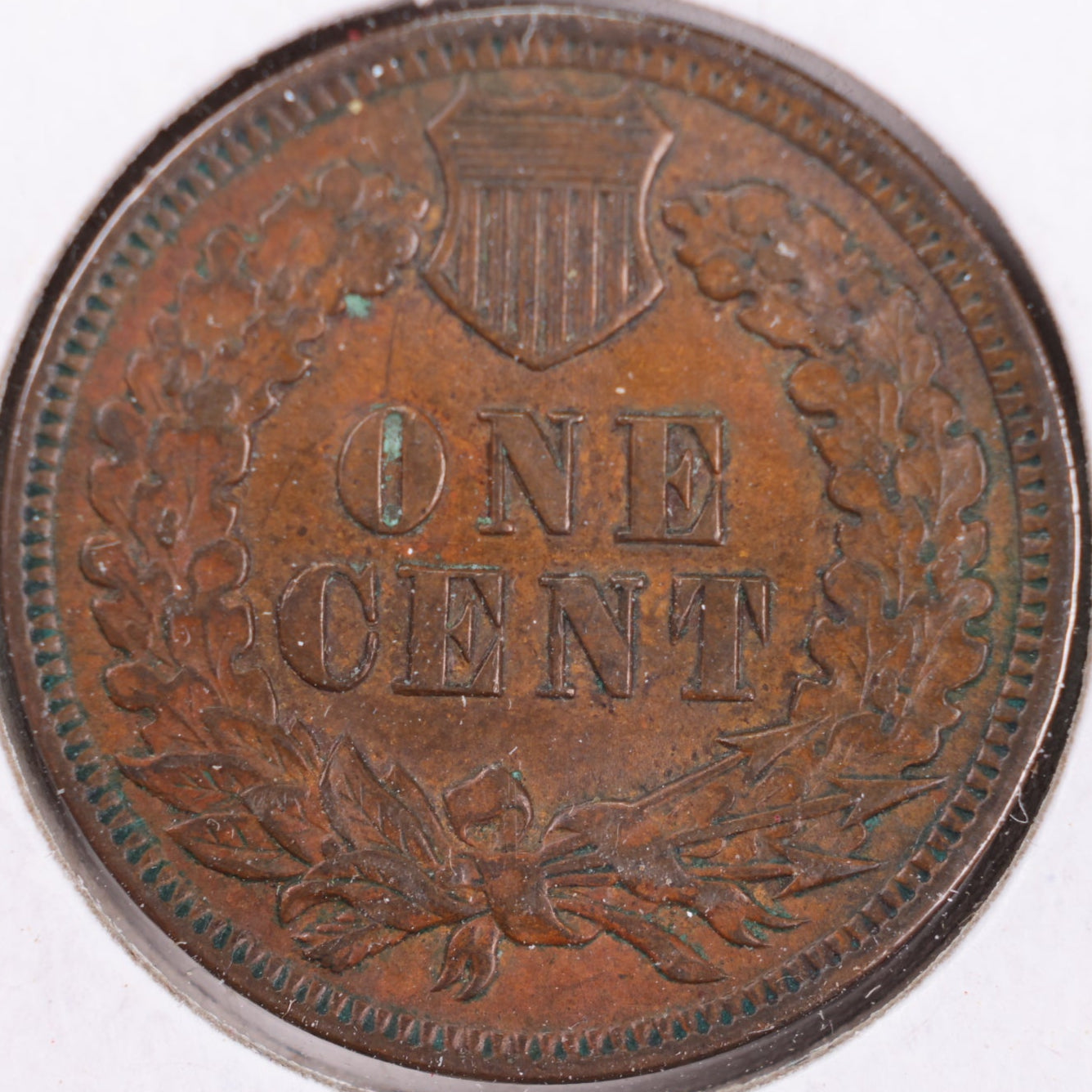1902 Indian Head Cent, Extra Fine+ Circulated Coin, Store #CT0396
