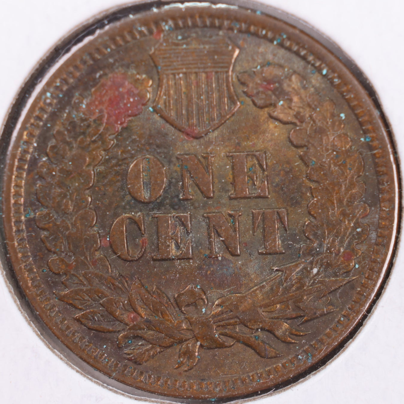 1903 Indian Head Cent, Mint State Uncirculated Coin, Store #CT0401