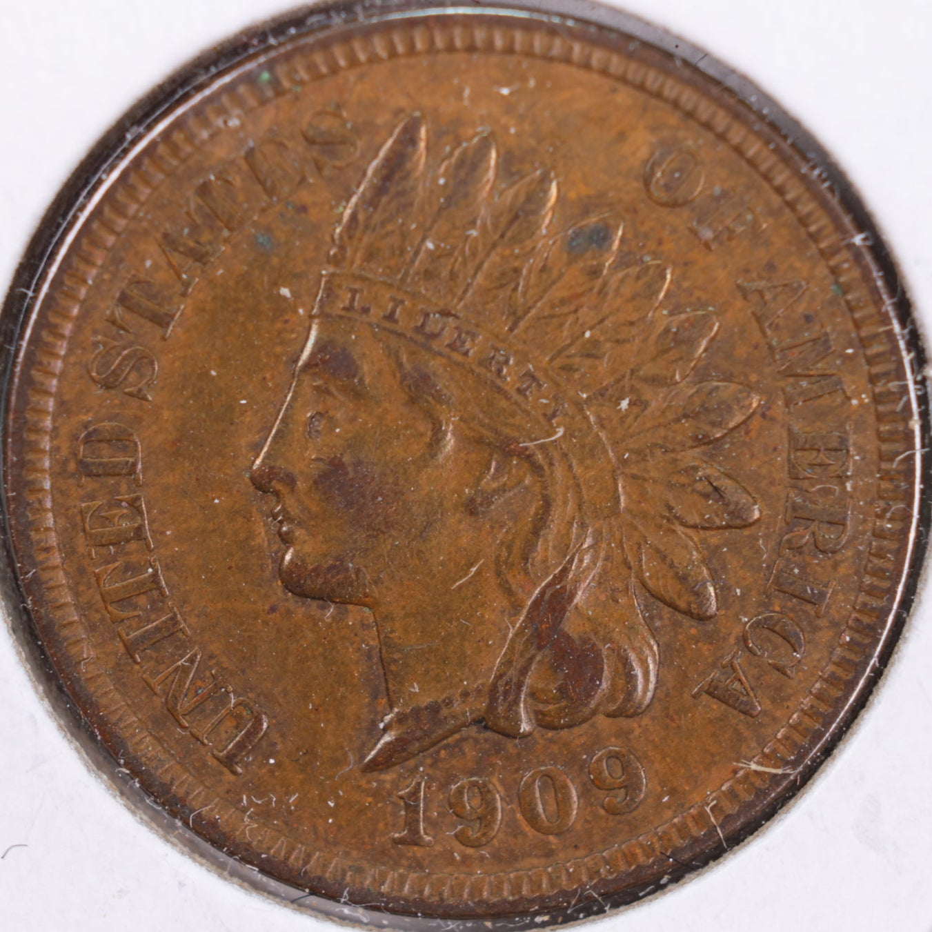 1909 Indian Head Cent, Extra Fine Circulated Coin, Store #CT0419