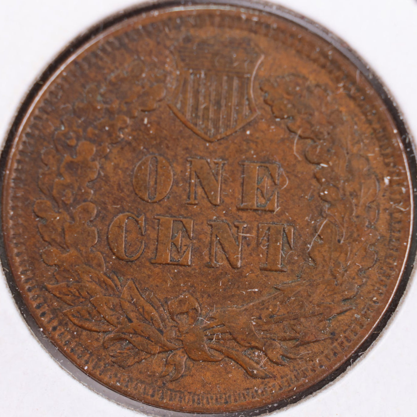 1906 Indian Head Cent, Extra Fine Circulated Coin, Store #CT0422