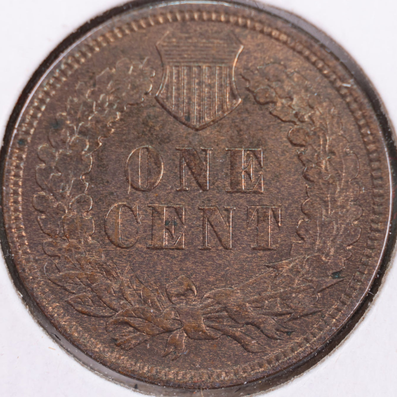 1906 Indian Head Cent, Mint State+ Uncirculated Coin, Store #CT0429