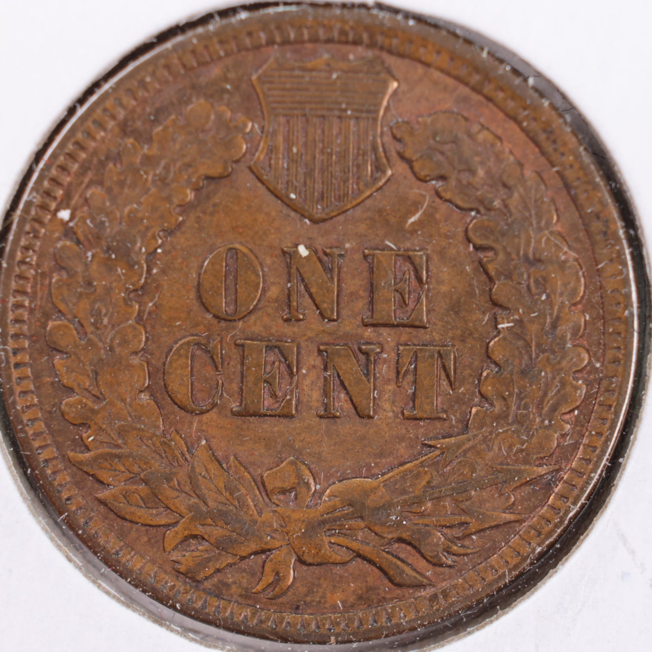 1902 Indian Head Cent, Mint State Uncirculated Coin, Store #CT0438