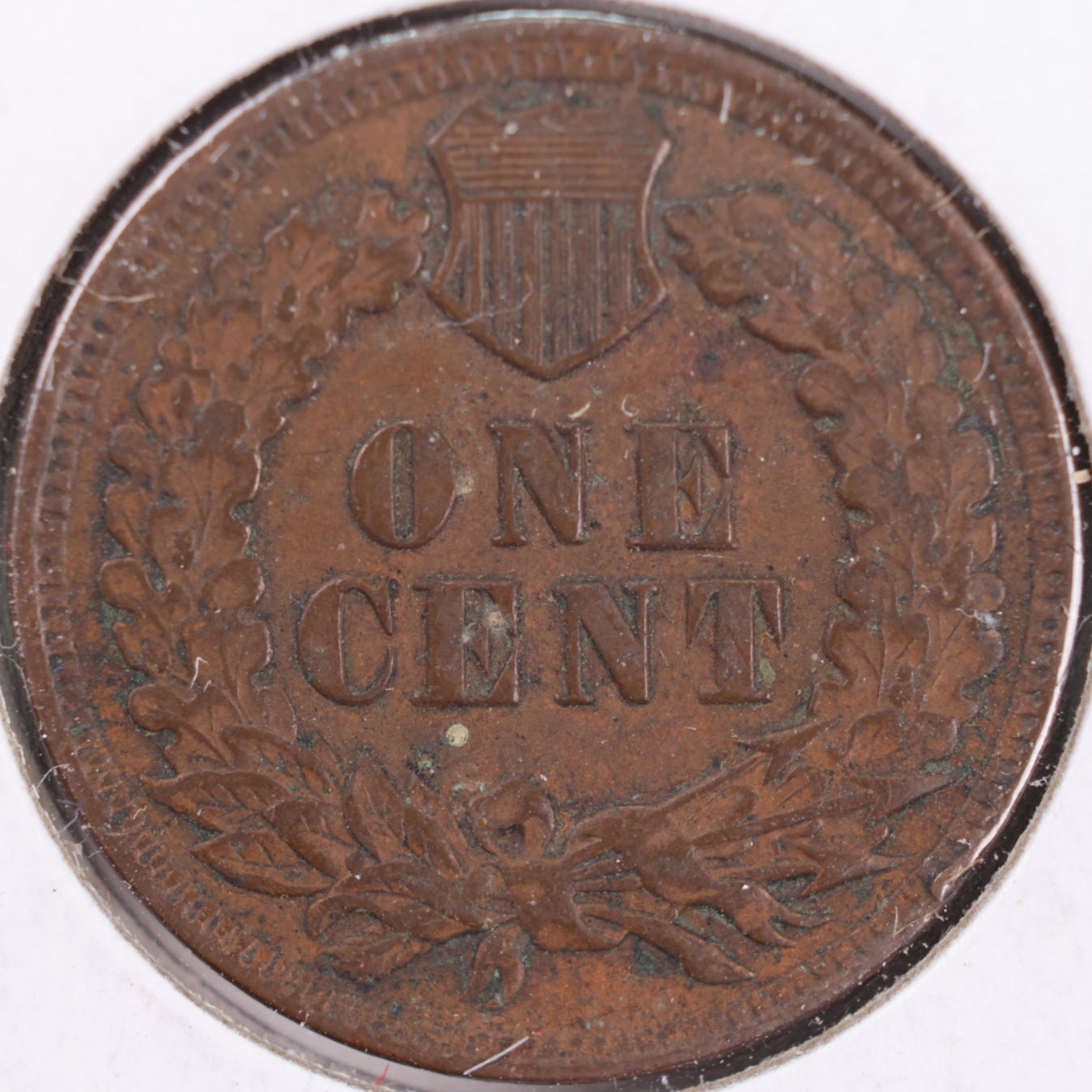 1902 Indian Head Cent, Mint State Uncirculated Coin, Store #CT0445