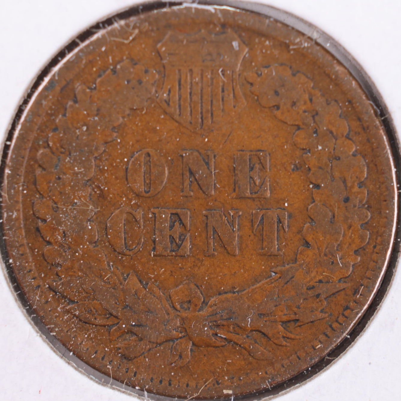 1906 Indian Head Cent, Fine Circulated Coin, Store #CT0449