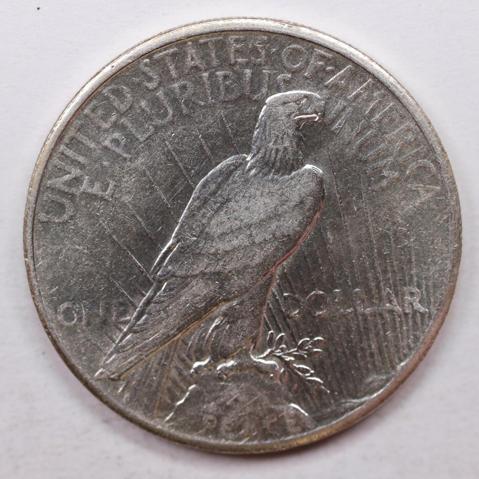 1926 Peace Dollar, Condition, Mint State Uncirculated Coin, Store #DR0023