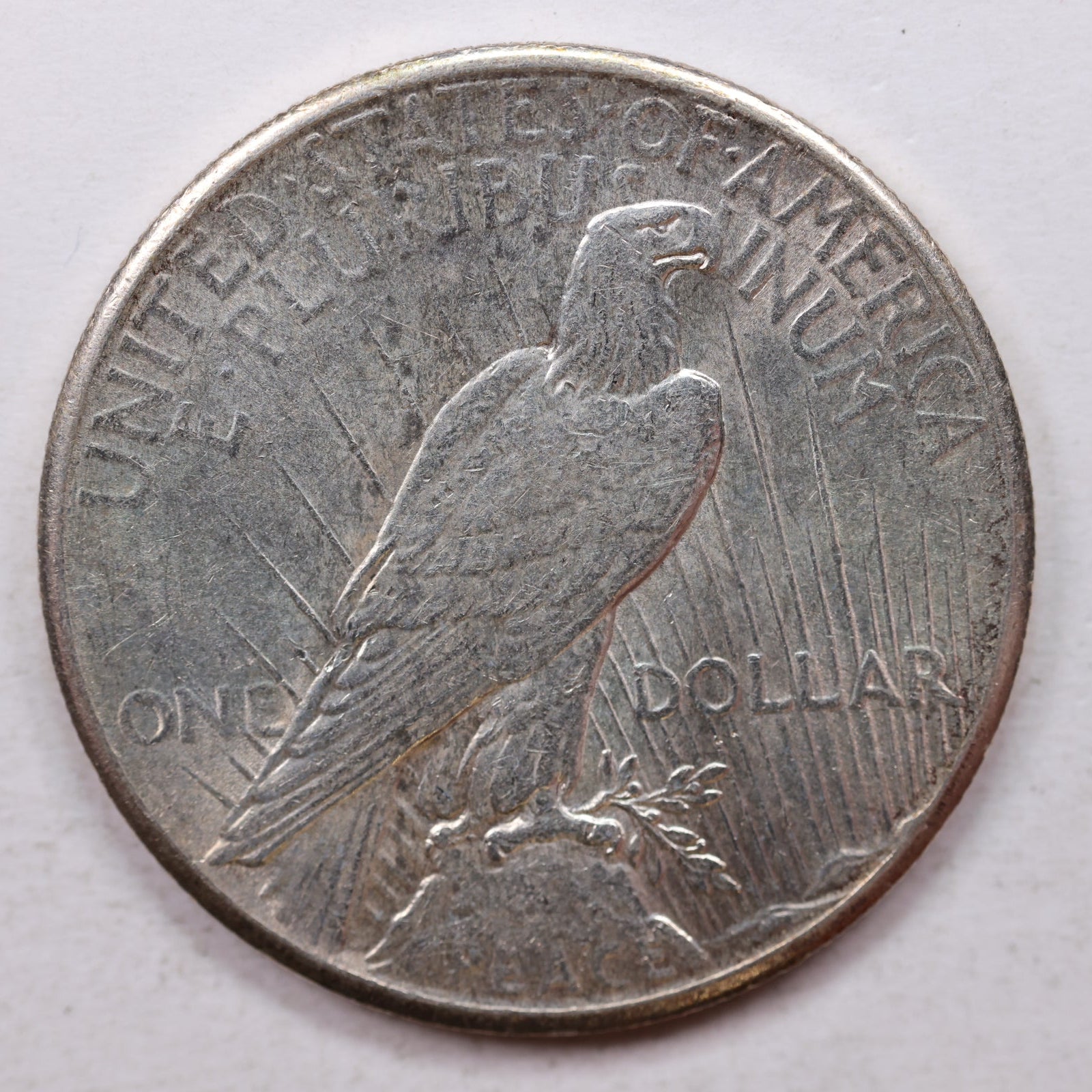 1928 Peace Dollar, Mint State Uncirculated Coin, Store #DR0030