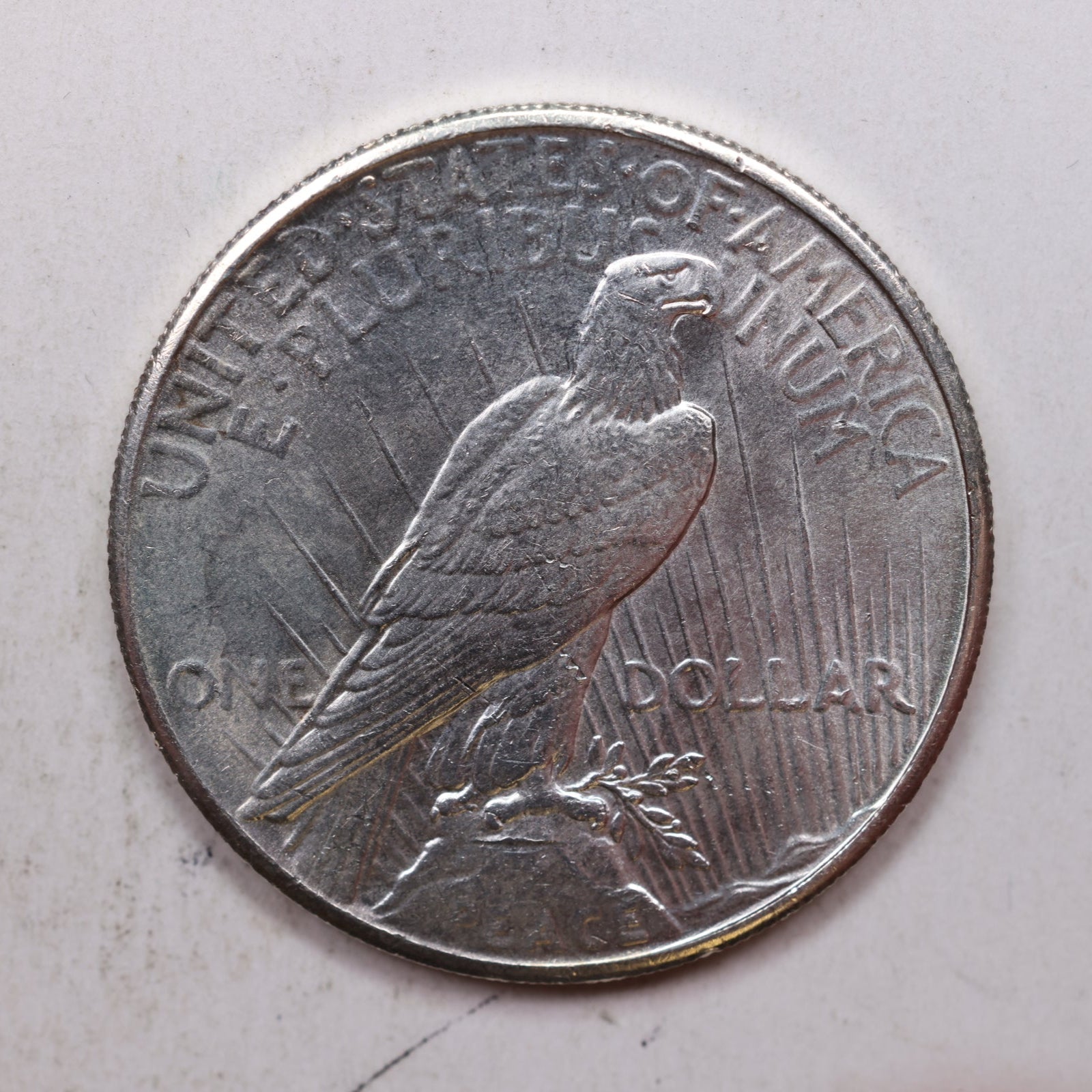 1926 Peace Dollar, Mint State Uncirculated Coin, Store #DR0980