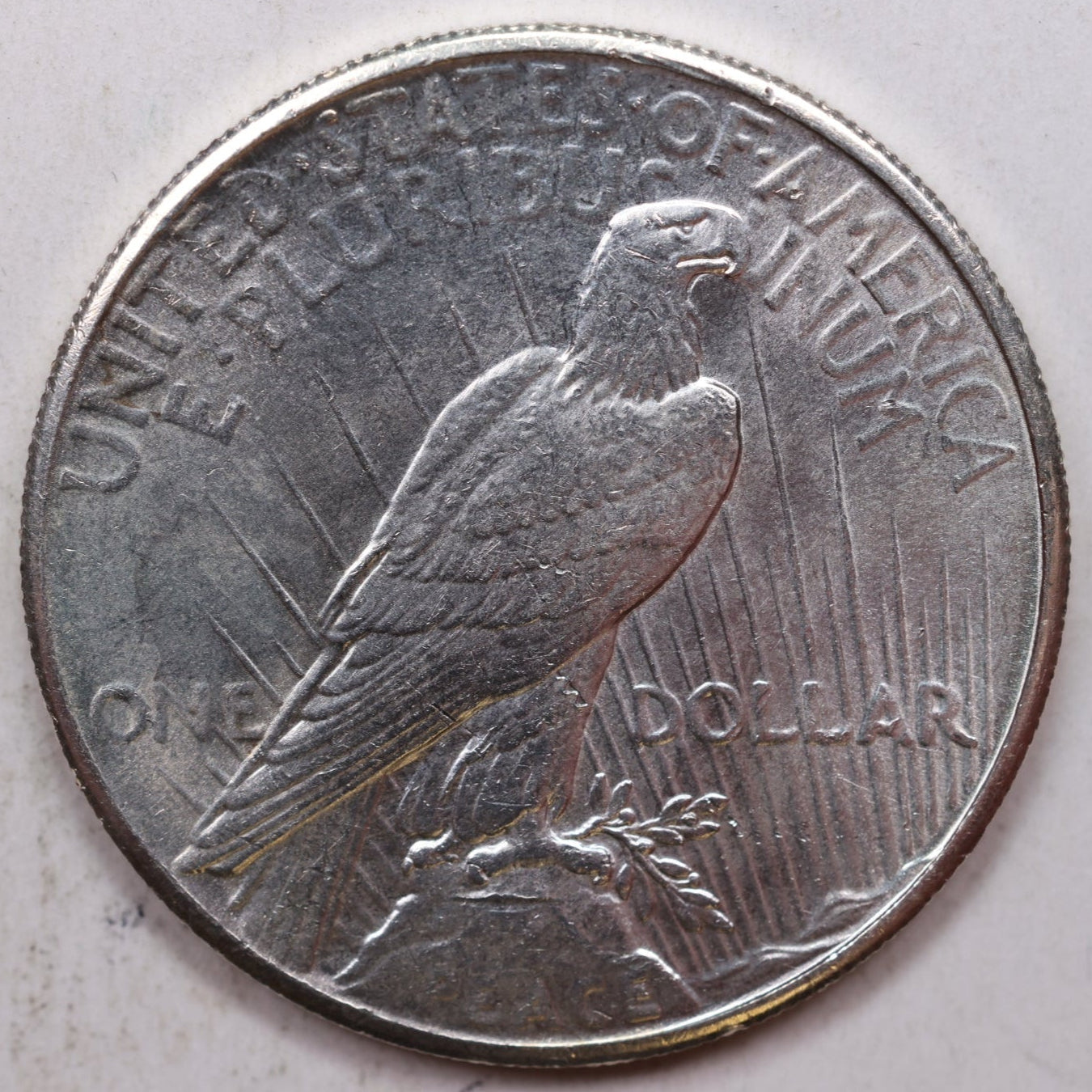 1926 Peace Silver Dollar, Mint State Uncirculated Coin, Store #DR0980