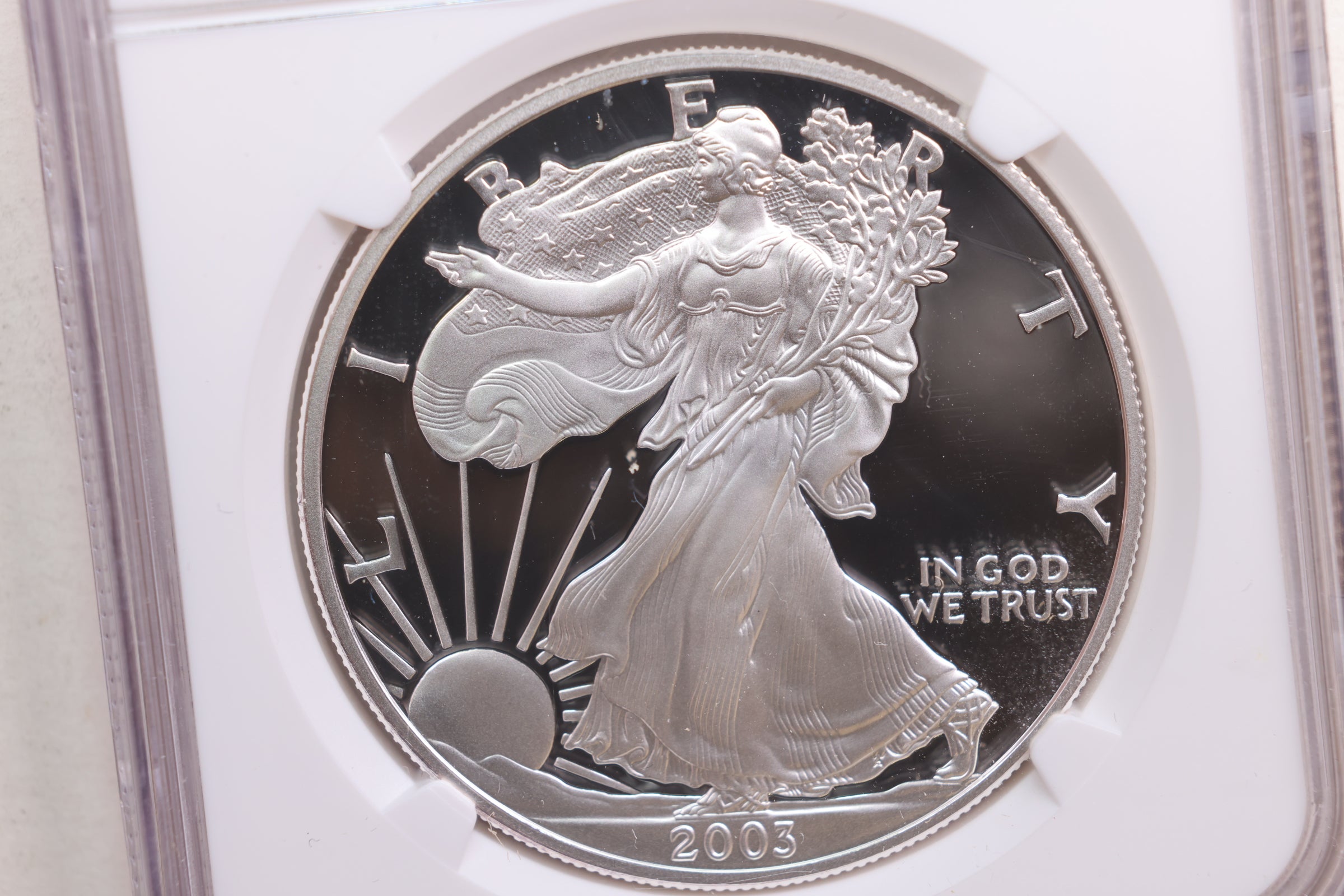 2003-W American Silver Eagle, Proof Strike, NGC PF-70, Store SALE #AE0194.