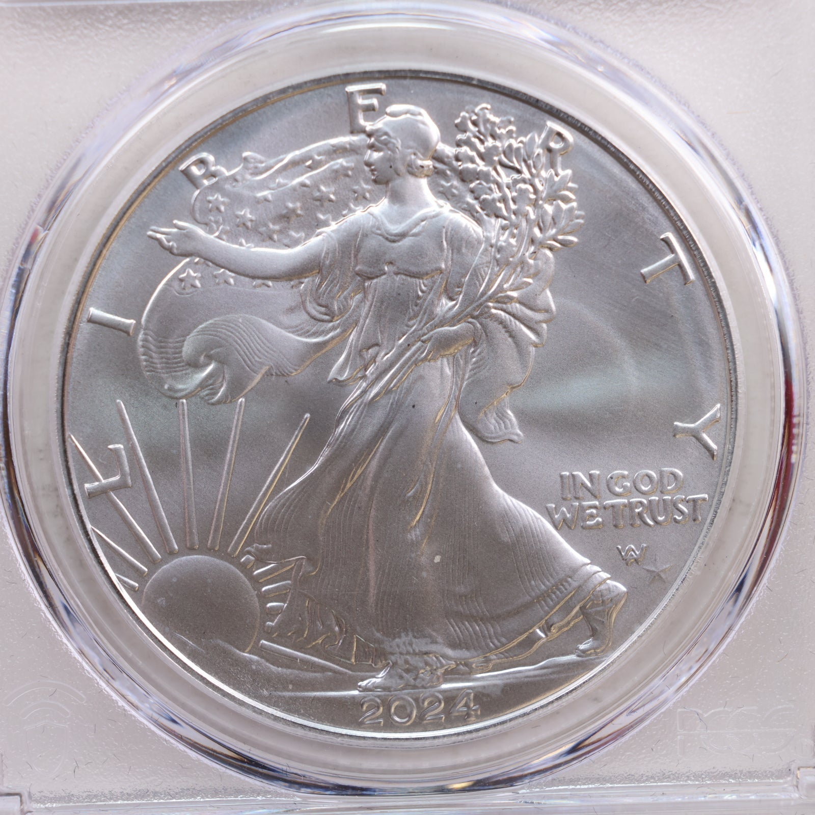 2024-(P) American Silver Eagle with Star Privy, PCGS MS69, Store# AE0233