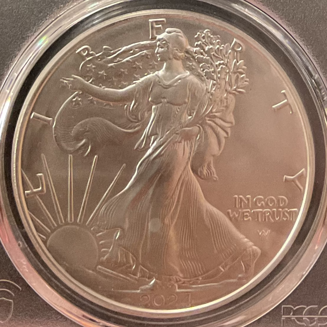 2024-W Burnished American Silver Eagle, PCGS SP-70DCAM, Store #AE0530