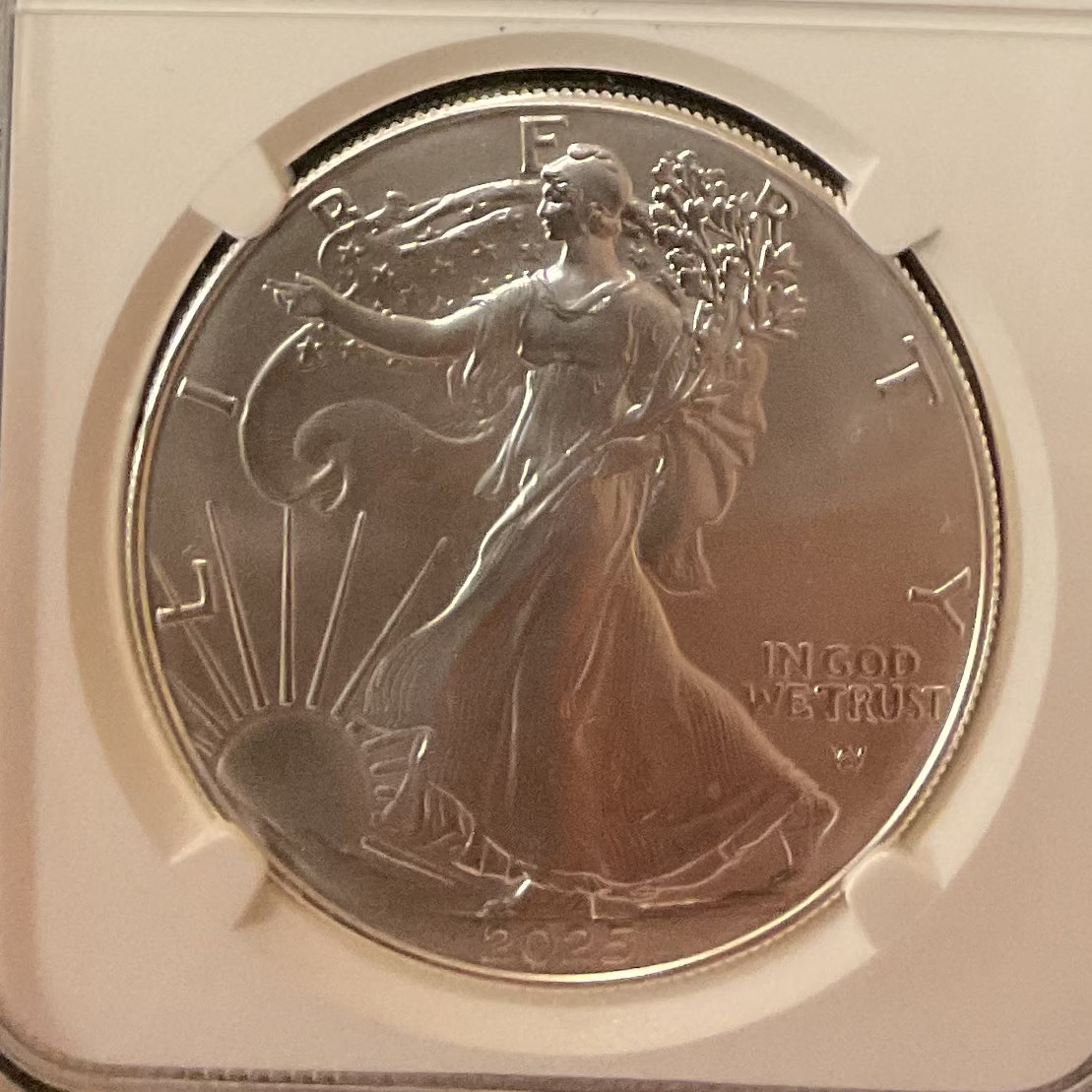2025 American Silver Eagle, Early Release, NGC MS-70, Store #AE0533