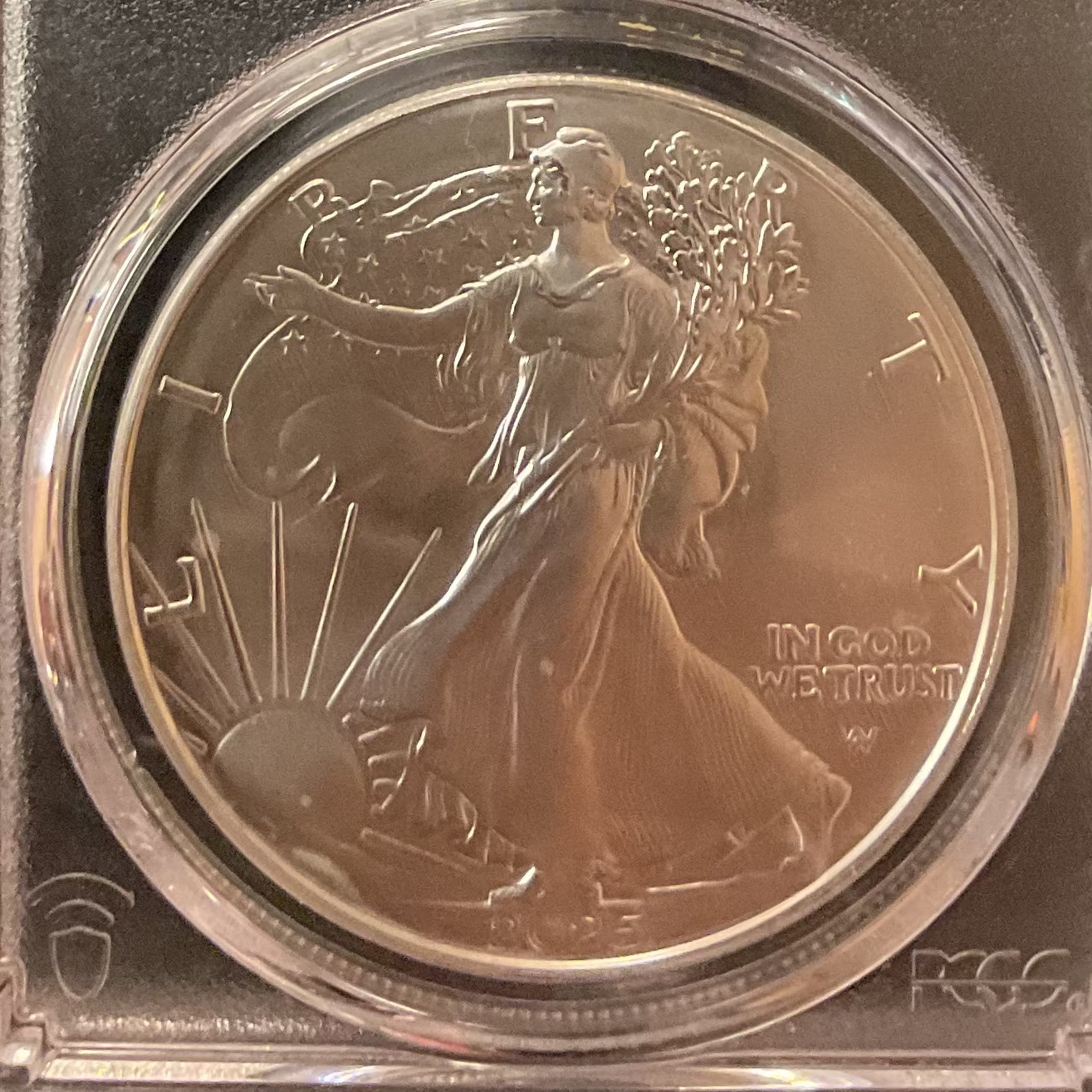 2025 W Burnished American Silver Eagle, PCGS SP-70, Store #AE0535