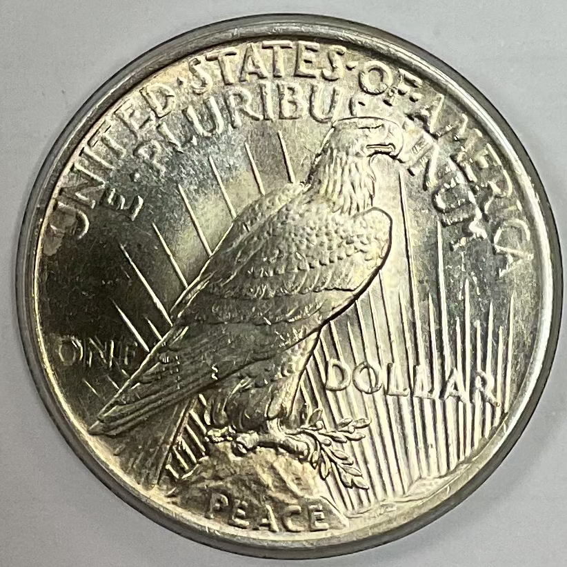 1924 Peace Dollar, Mint Uncirculated, Store #DR1516