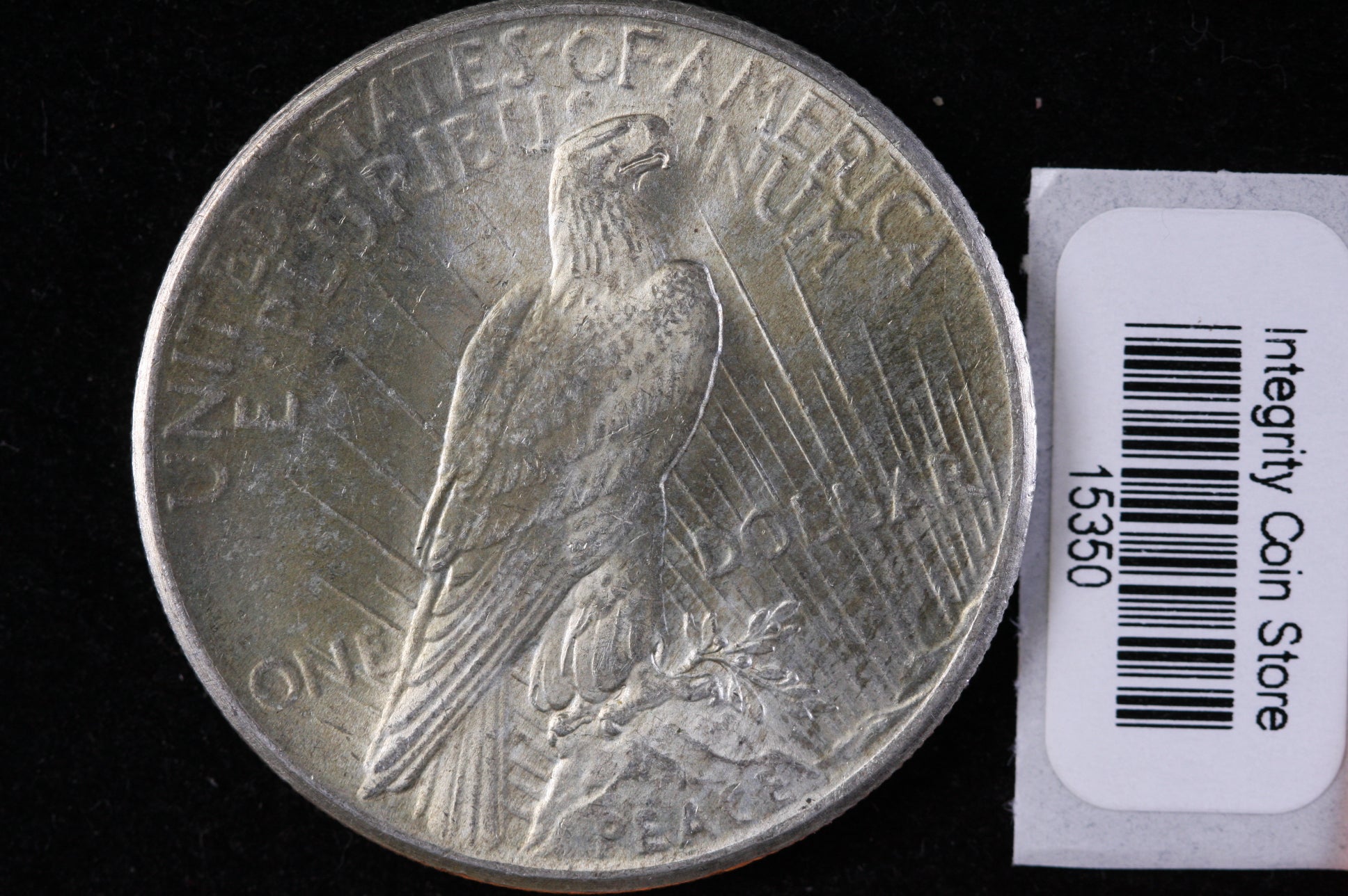 1925 Peace Silver Dollar, Affordable Collectible Coin, Store #DR0774