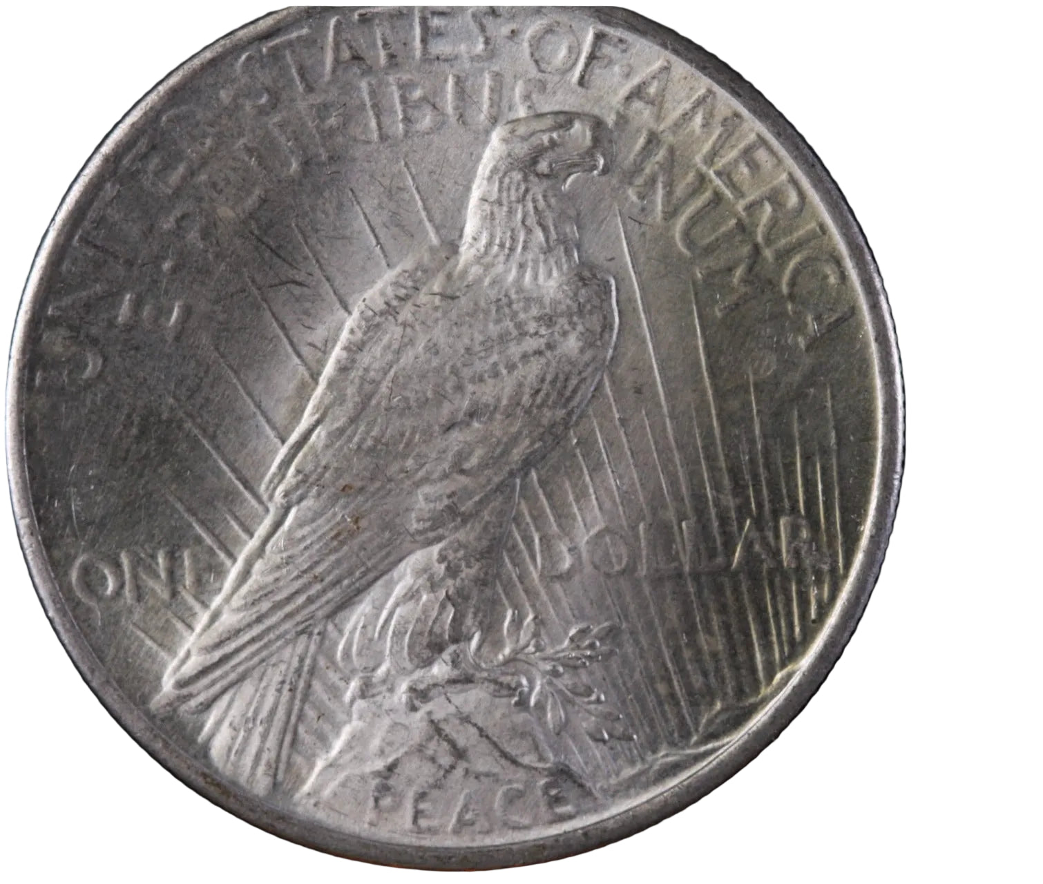 1925 Peace Silver Dollar, Mint State, Uncirculated Coin, Store #Dr004.