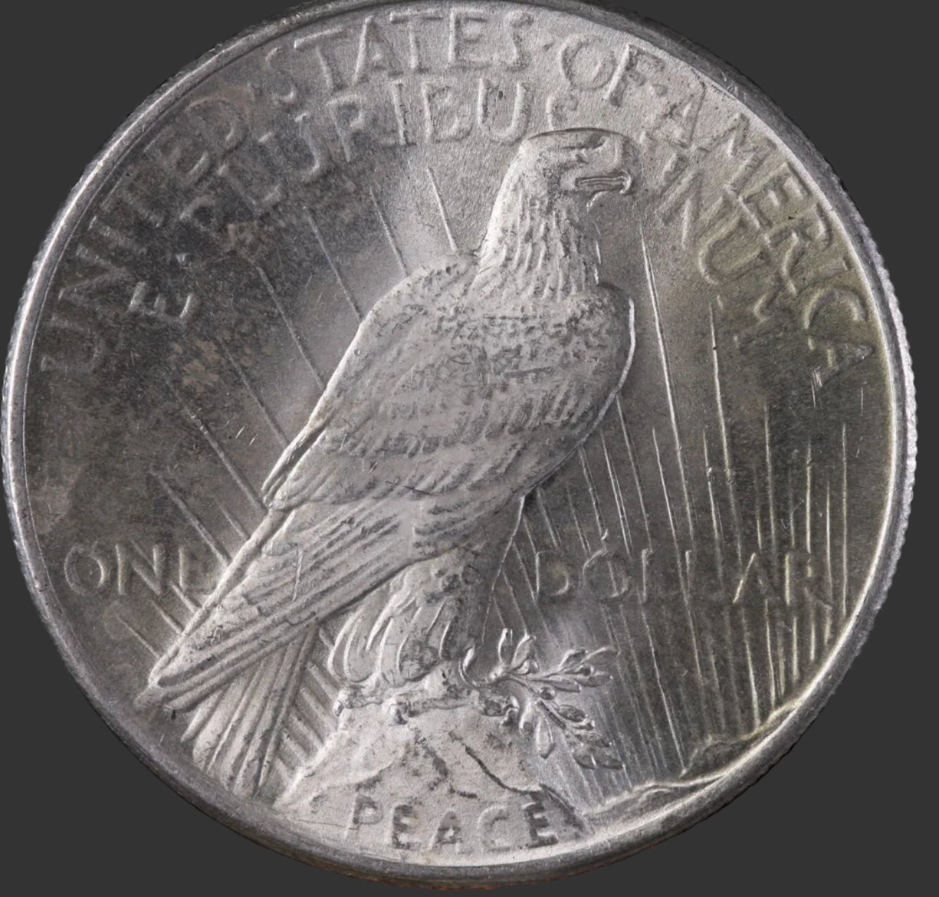 1925 Peace Silver Dollar, Mint State, Uncirculated Coin, Store #DR012.