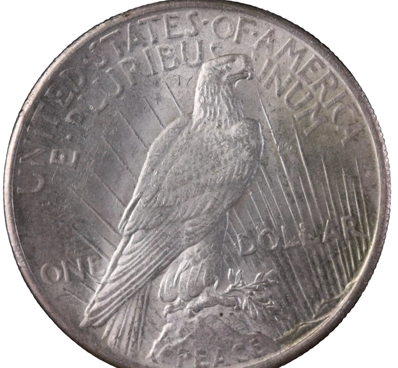 1925 Peace Silver Dollar, Affordable Collectible Coin, Store #15356