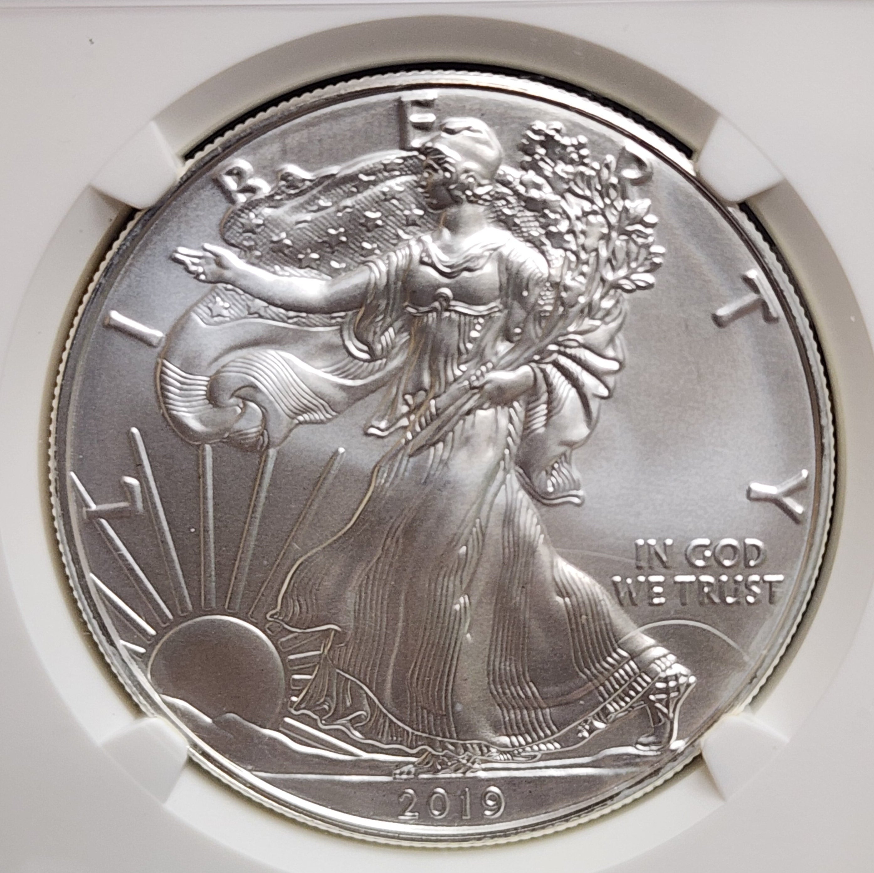 2019 American Silver Eagle, NGC MS 70, Store #AE0237