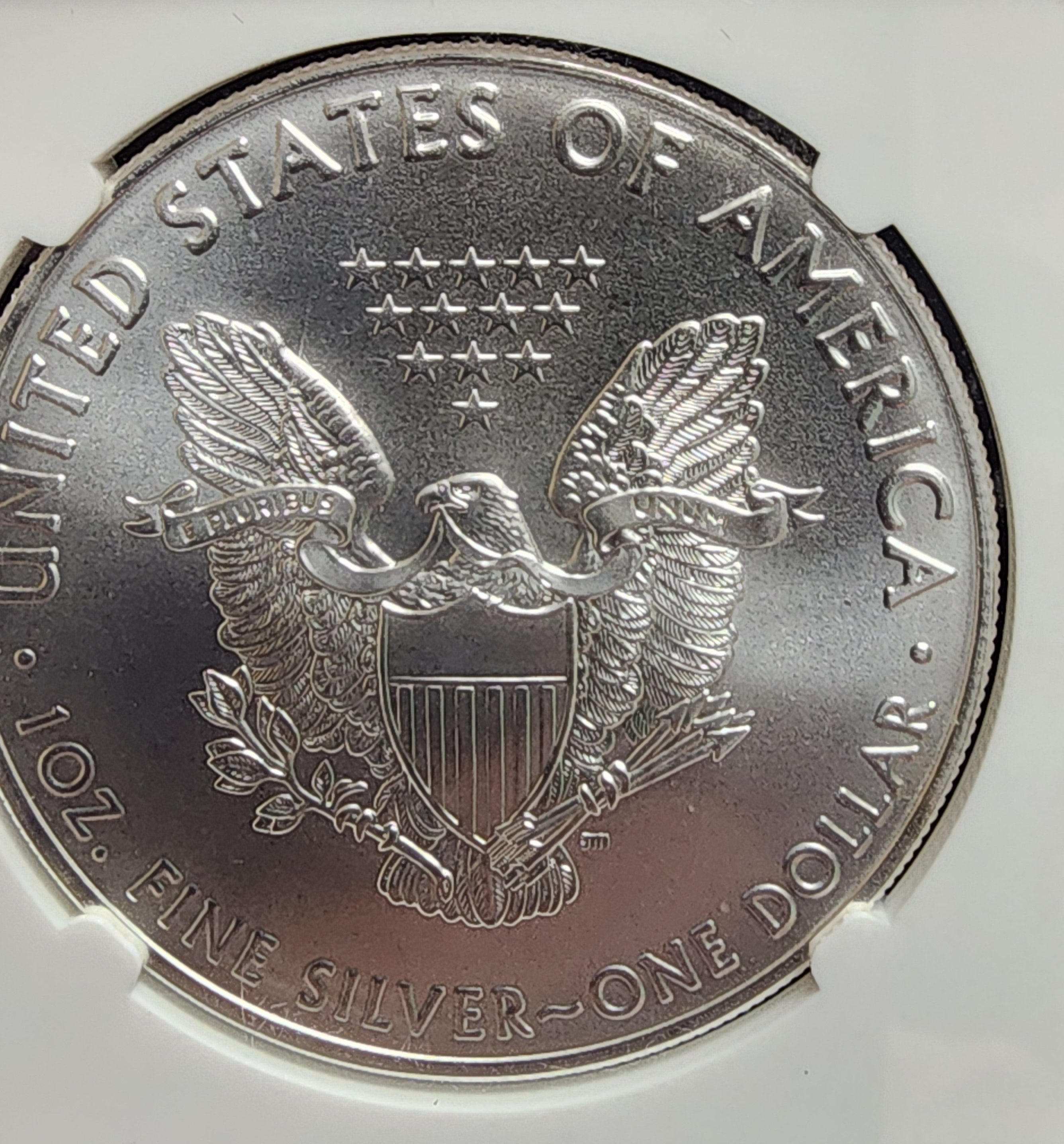 2020 American Silver Eagle, NGC MS 70, Store #AE0238