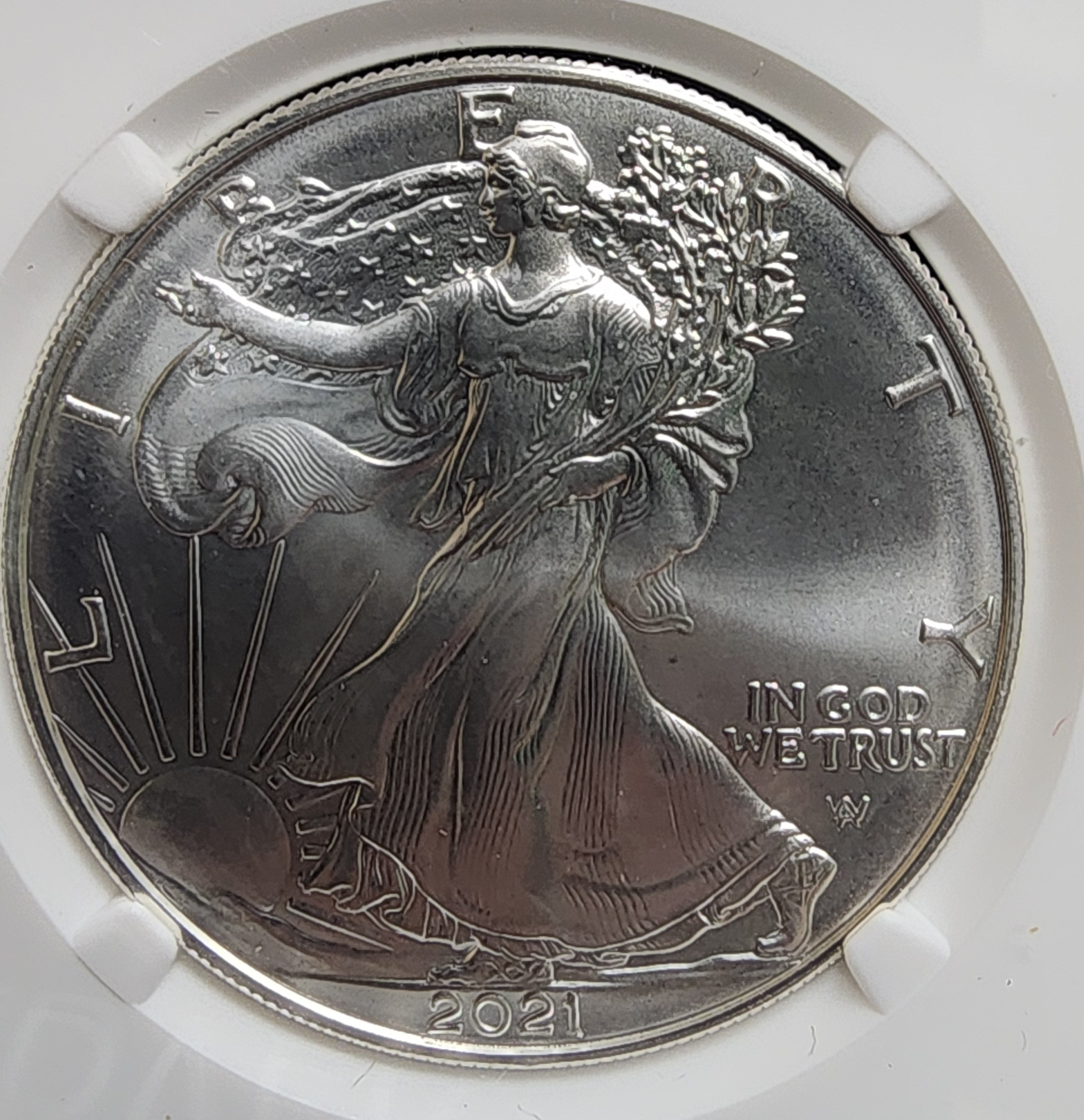 2021 Type 2 American Silver Eagle, NGC MS 70, Store #AE0239
