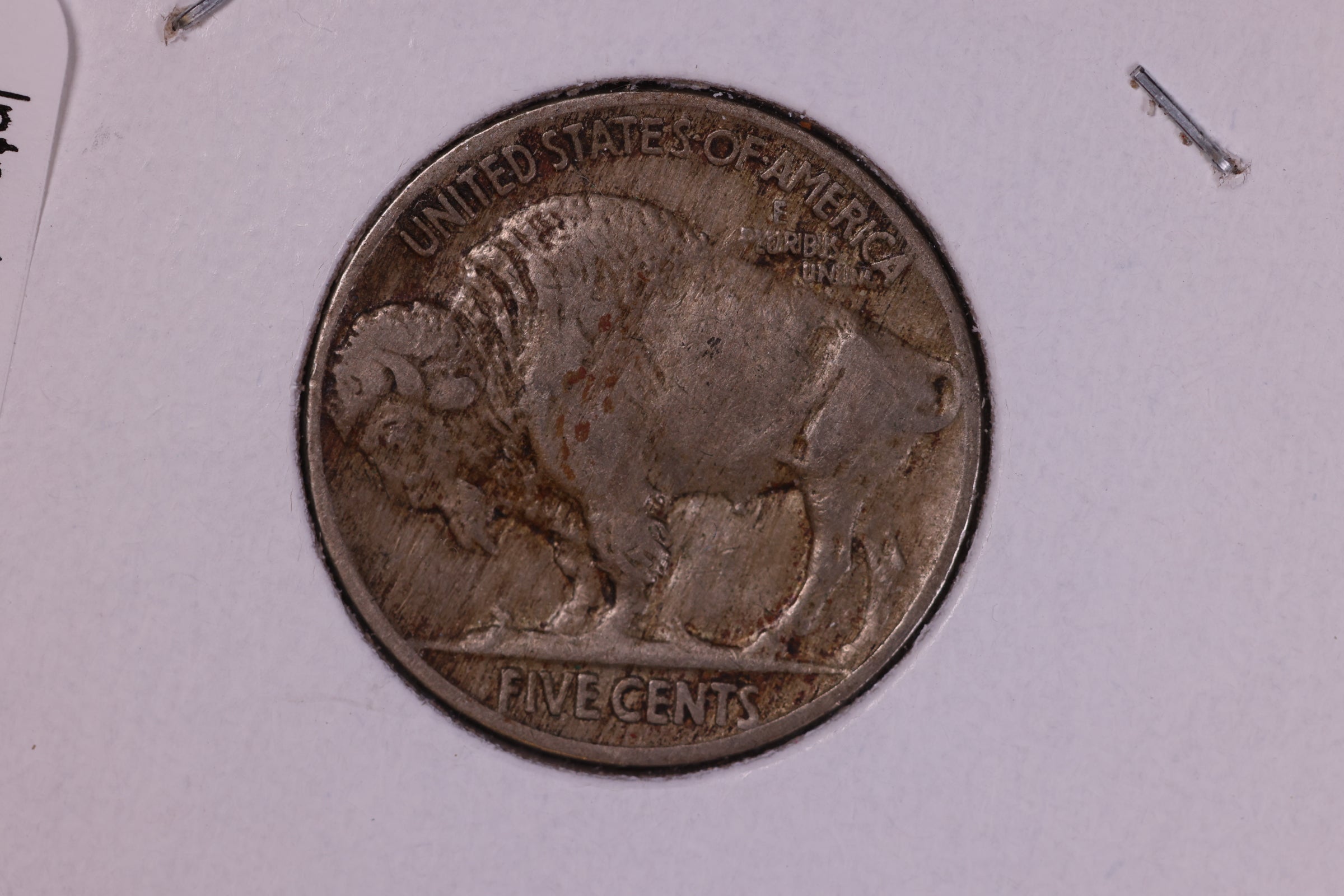 1919 Buffalo Nickel. Affordable Circulated Coin. Store #11113
