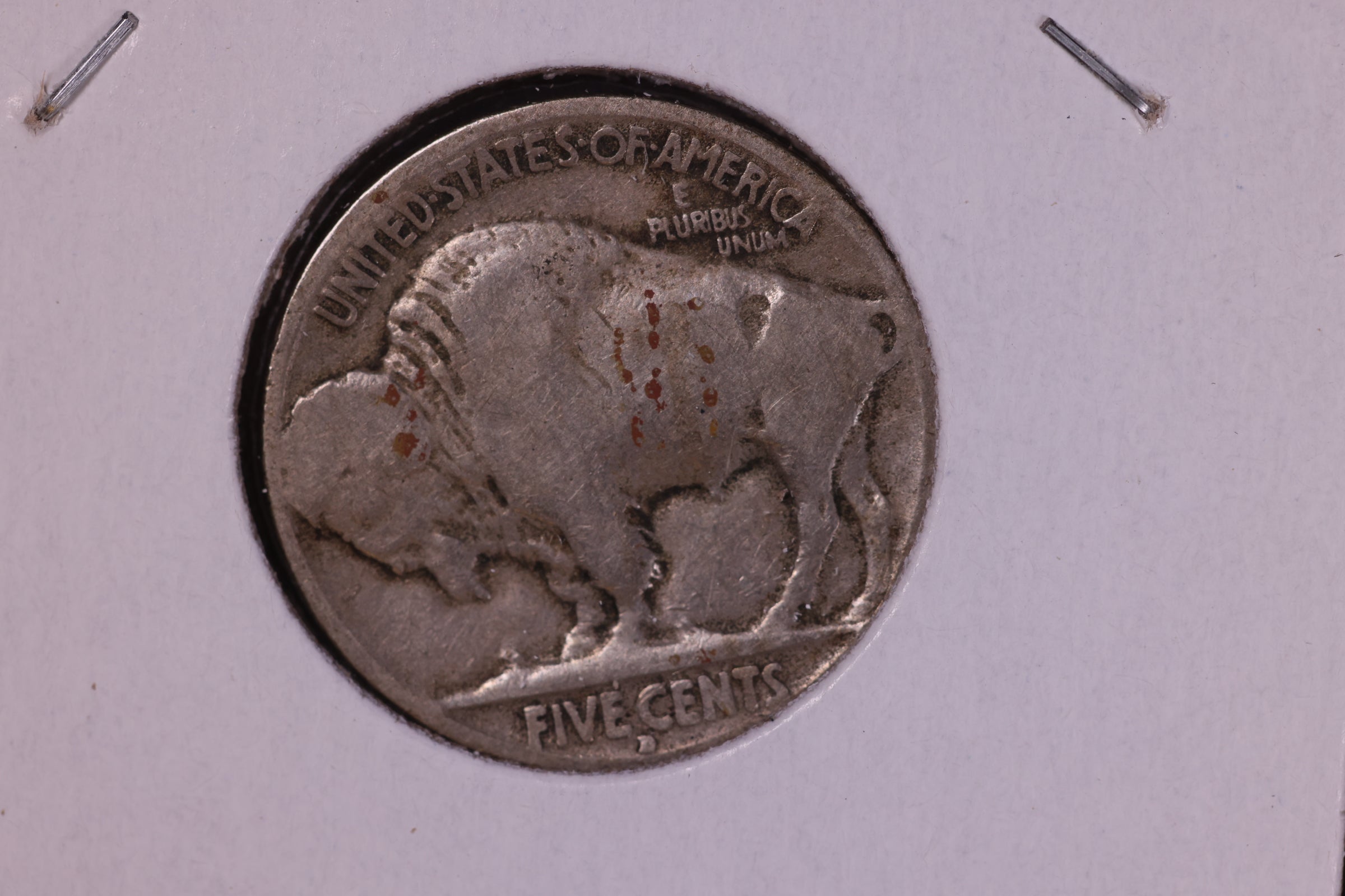 1929-D Buffalo Nickel. Affordable Circulated Coin. Store #11143