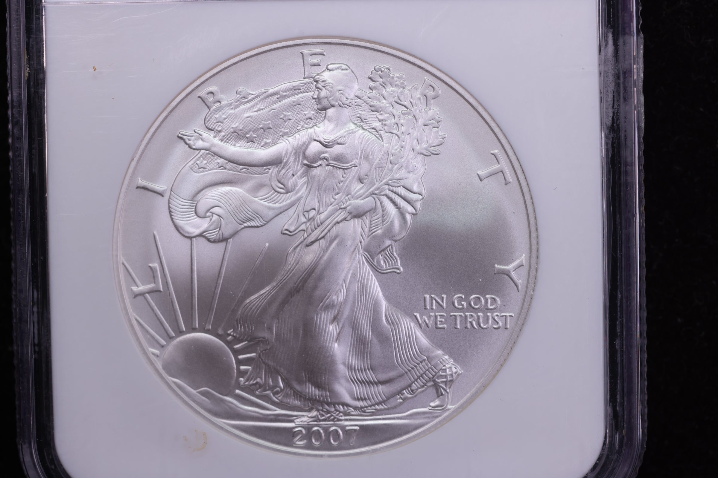2007-W American Silver Eagle, Burnished Strike, NGC MS-70. Store #AE0104