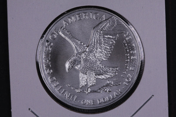 2022 American Silver Eagle.