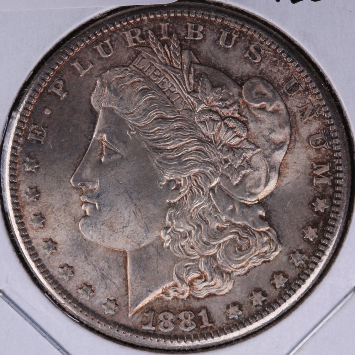 1881-S Morgan Silver Dollar, Mint State Uncirculated condition, Toned. Store #DR0195
