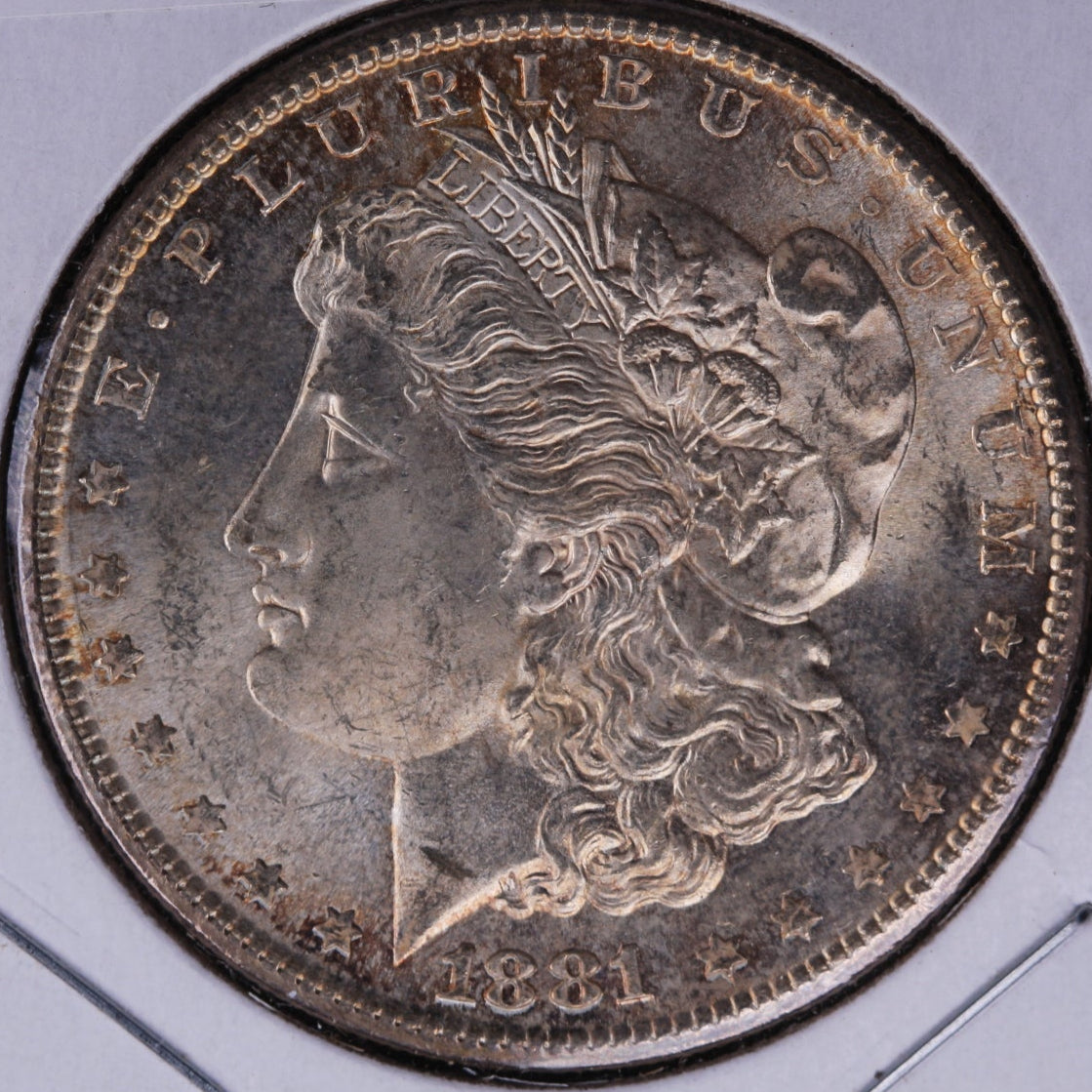 1881-S Morgan Silver Dollar, 'Toned', Mint State Uncirculated Coin, Store #DR0199