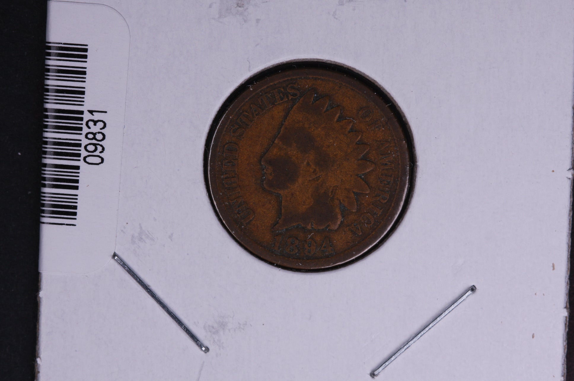 1894 Indian Head Small Cent. Affordable Collectible Coin. Store # 09831