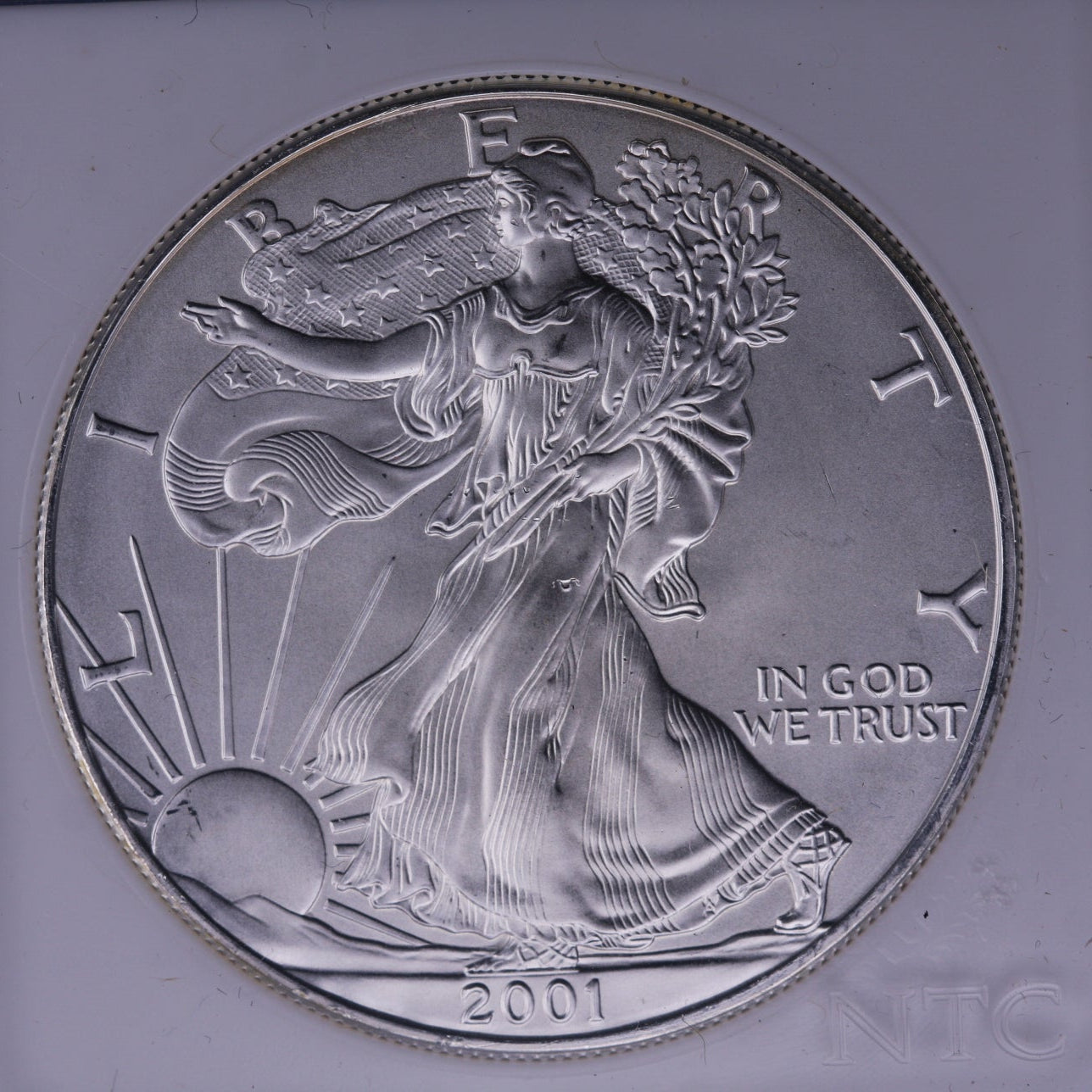 2001 Silver Eagle $1. WTC Ground Zero Recovered. Store #AE0062