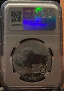 .999 silver, 1 Troy Ounce, 2023 Fractional Buffalo Set, REVERSE PF-70, Store