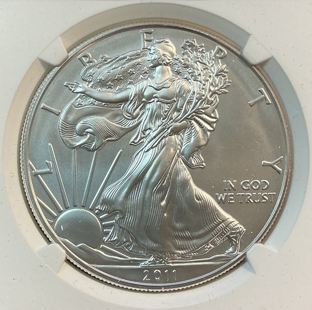 2011-W, American Silver Eagle $1, Burnished, NGC MS69 Store #AE0550