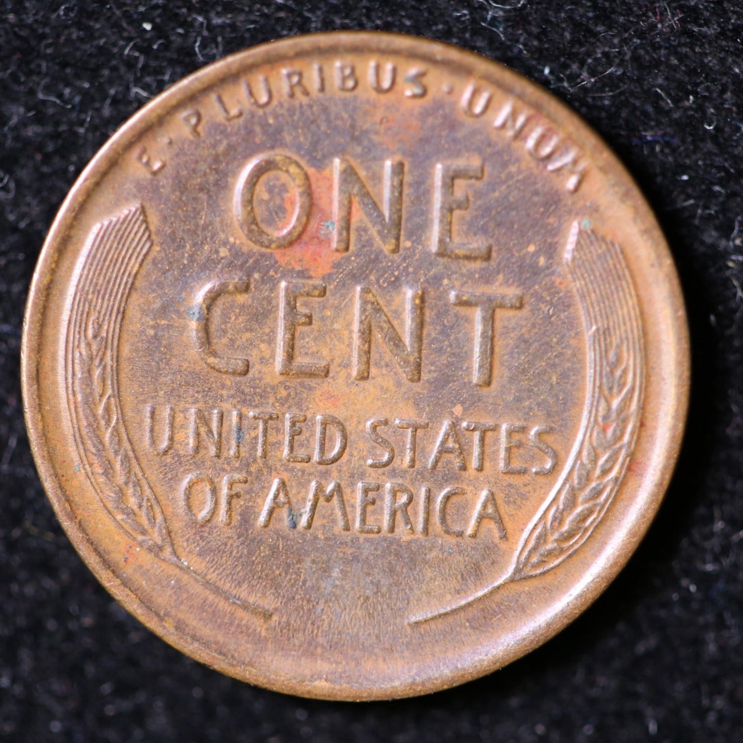 1919 Lincoln Cent, Circulated Affordable Coin, Store #40037