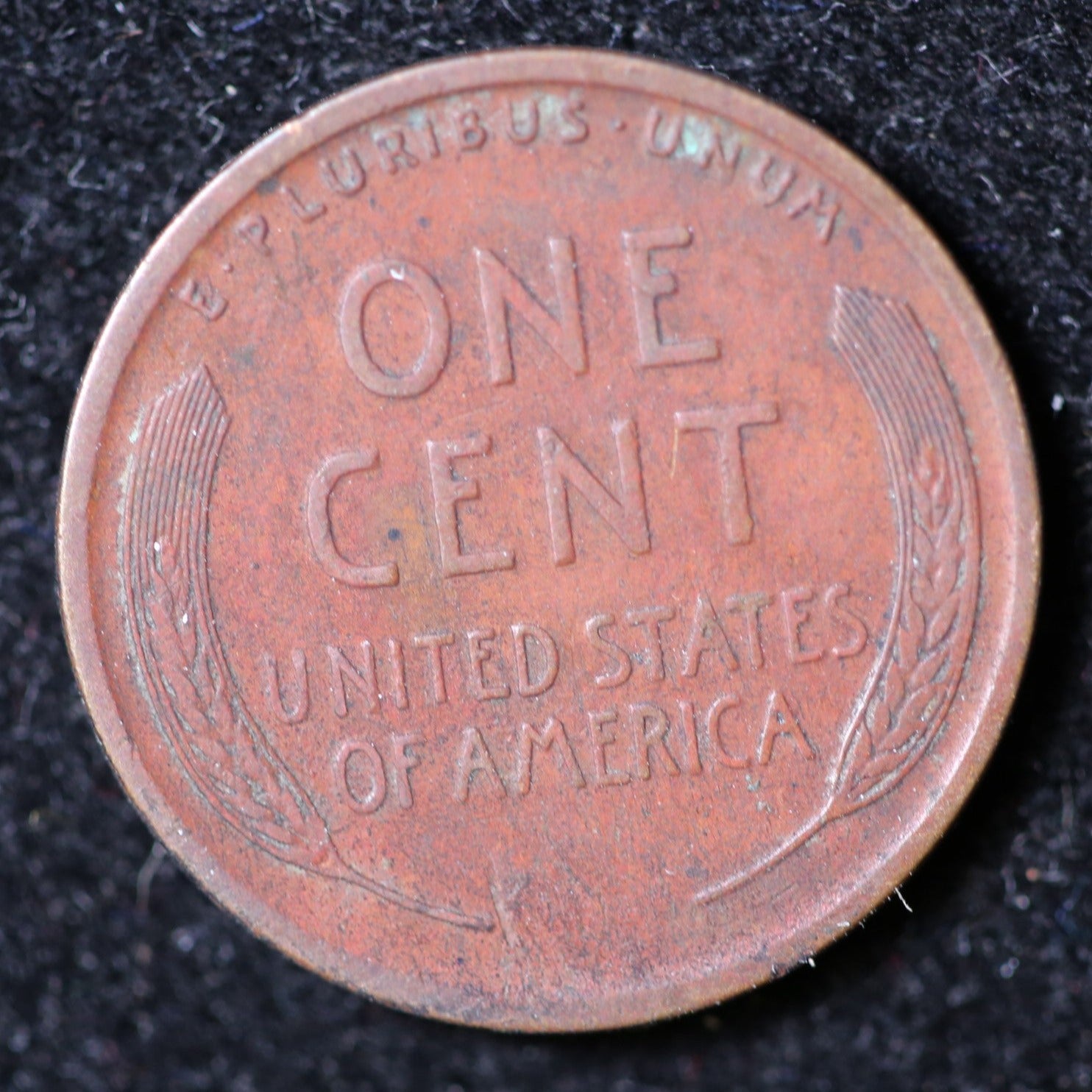 1920-D Lincoln Cent, Circulated Affordable Coin, Store #40044