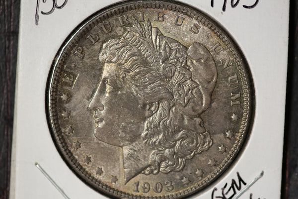 1903 Morgan Silver Dollar, Gem Uncirculated Coin, Store #23080689