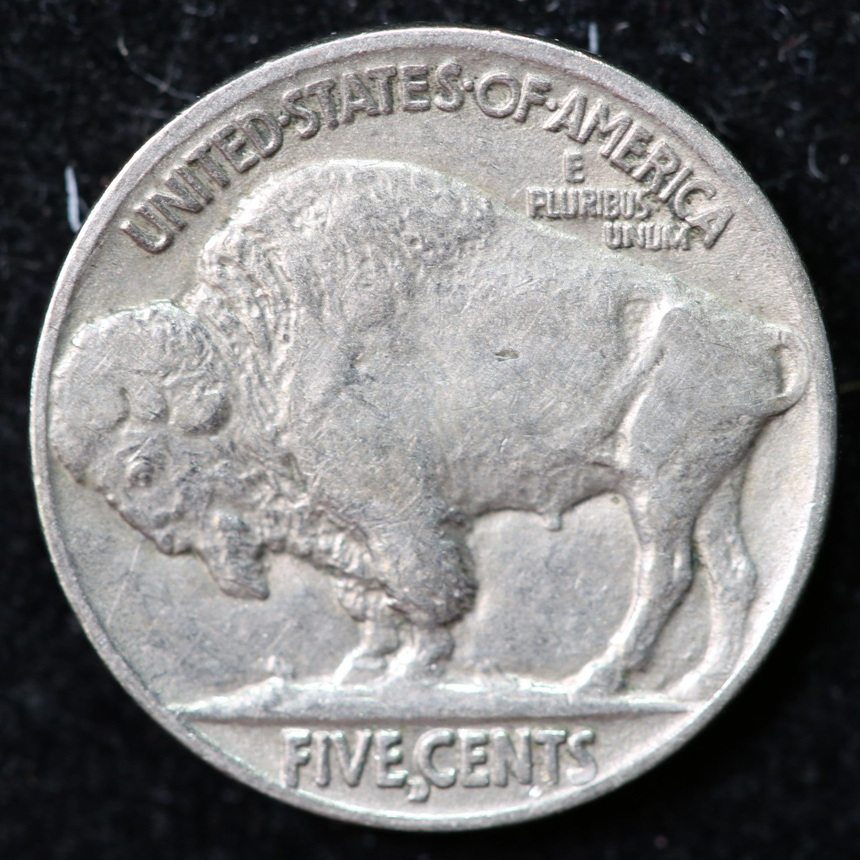1916-D Buffalo Nickel, Affordable Collectible Coin. Store #1269033