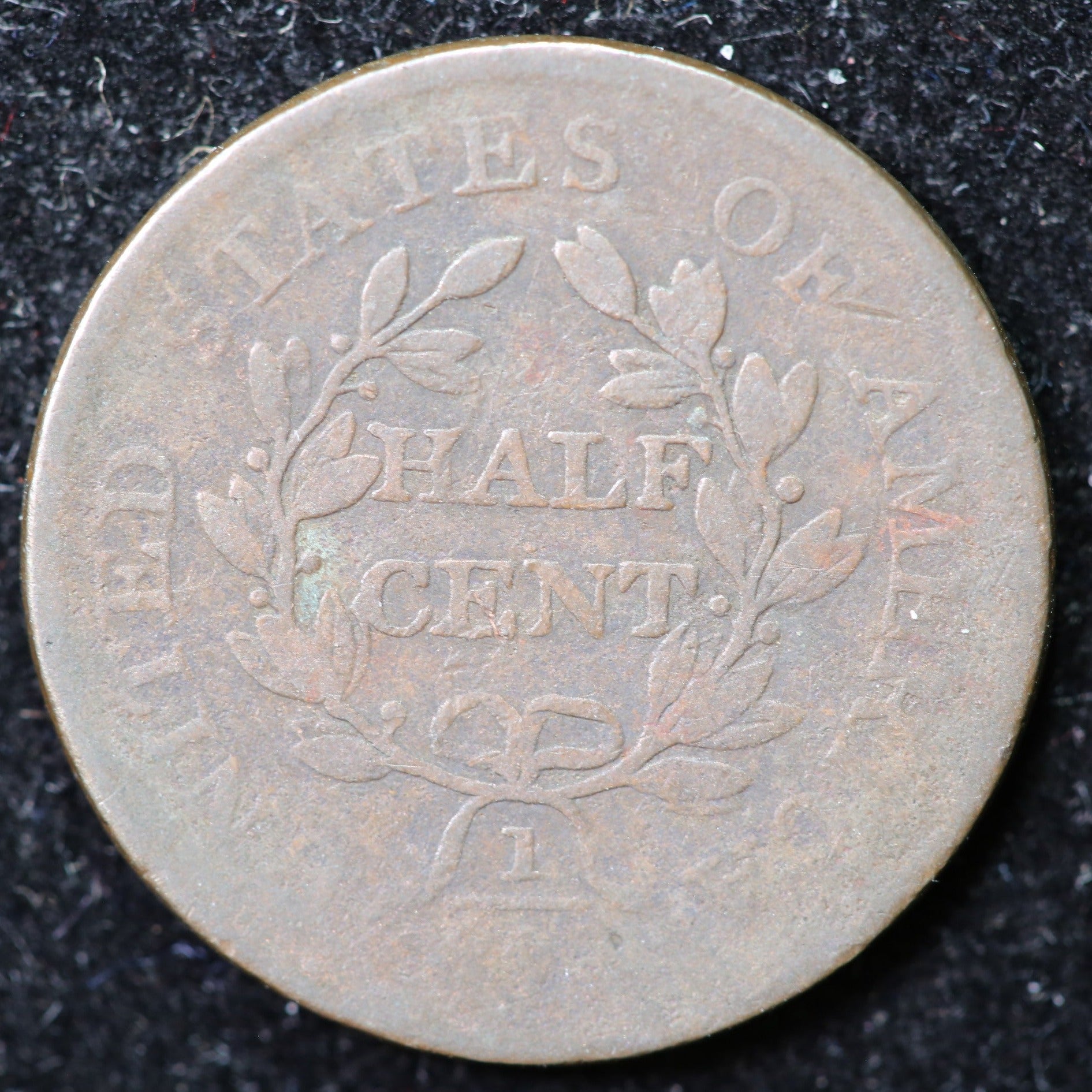 1804 Draped Bust Half Cent, Affordable Collectible Coin. Store #1269087