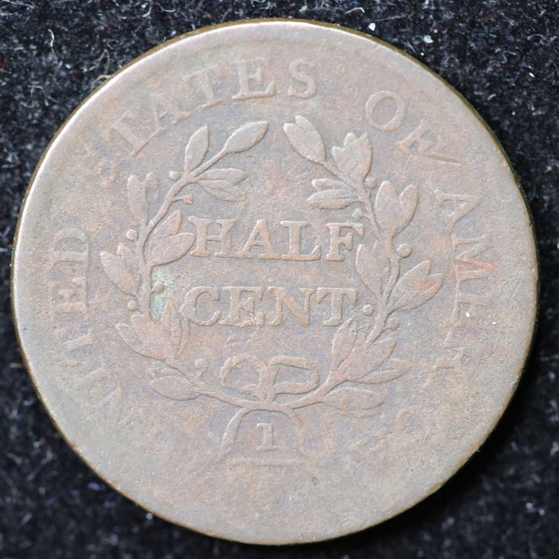 1804 Draped Bust Half Cent, Affordable Collectible Coin. Store