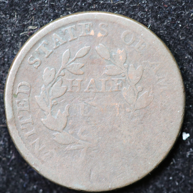 1806 Draped Bust Half Cent, Affordable Collectible Coin. Store