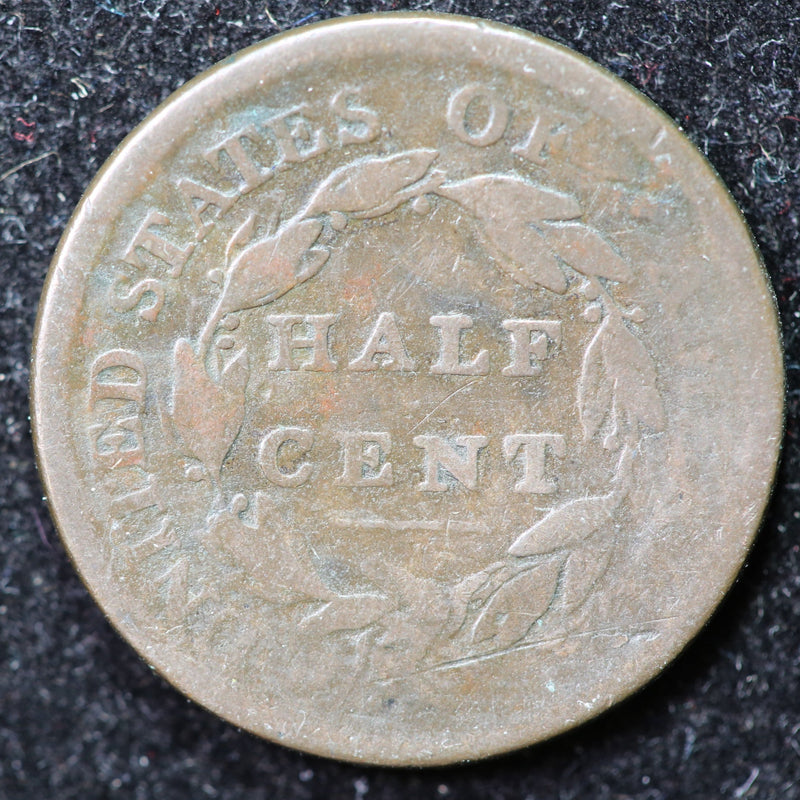 1809 Classic Head Half Cent, Affordable Collectible Coin. Store