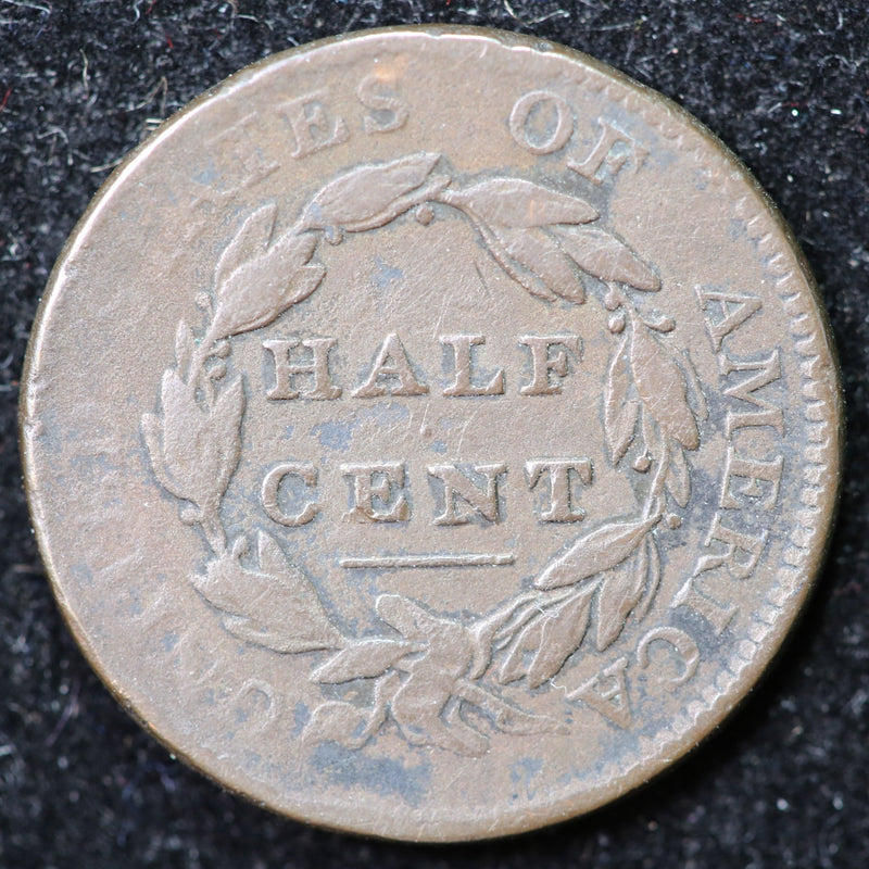 1811 Classic Head Half Cent, Affordable Collectible Coin. Store