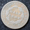 1825 Classic Head Half Cent, Affordable Collectible Coin. Store