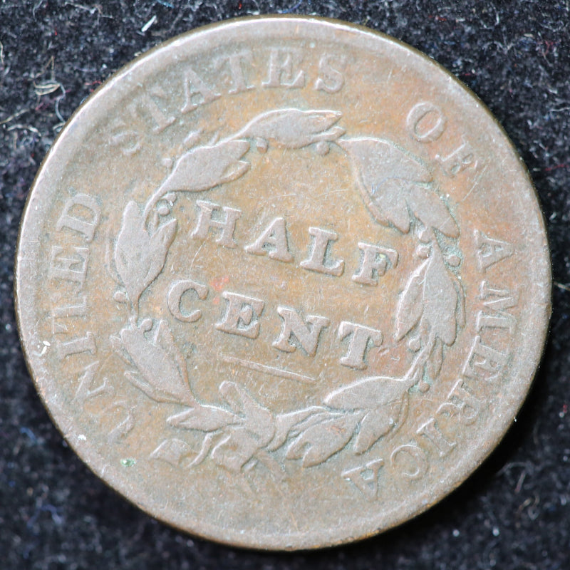 1825 Classic Head Half Cent, Affordable Collectible Coin. Store